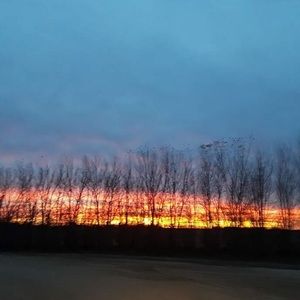 Meet your Posher, Martinez